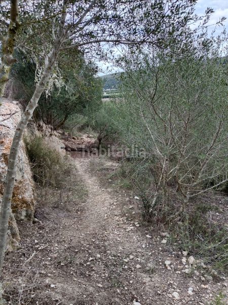 Foto 04ed7deb-1b1f-4d4f-a043-1e8af714ba02. Finca rústica a diseminado sector num 3 192 a Petra