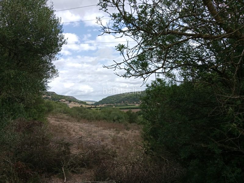 Foto 70257e51-ae86-447a-aa97-8a79bc1a44b9. Finca rústica a diseminado sector num 3 192 a Petra