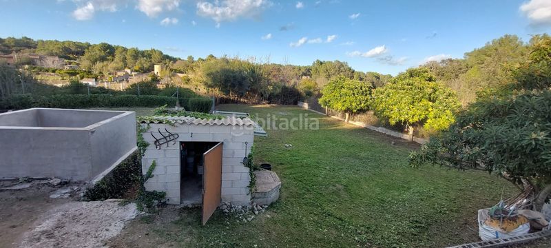 Foto b78a4b14-9570-47c3-9571-55c5332c1e83. Finca rústica a carretera palma-artá 80 a Manacor centre Manacor