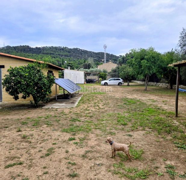 Foto f5ea4672-ca40-4399-9375-6090bcc06e45. Propriété dans carretera capdepera 3 dans Son Servera poble Son Servera