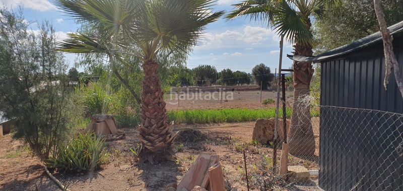 Foto 159b11eb-9594-4fa0-997c-63c2a1bbbec4. Finca rústica a es trenc 331 a Zona Rústica - Interior Campos