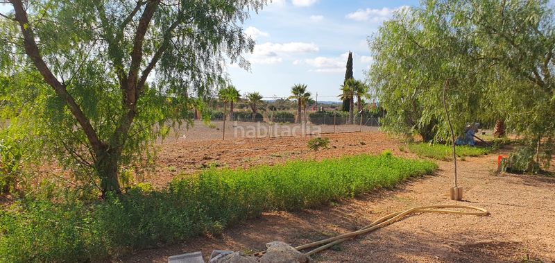 Foto 34c02af2-a5a4-4991-a770-ce049823b30e. Finca rústica a es trenc 331 a Zona Rústica - Interior Campos