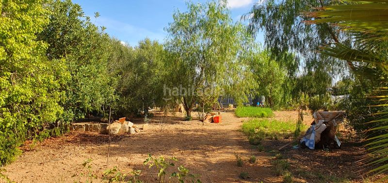 Foto 478d1d80-2bf1-4887-ae93-2518bf73c90b. Finca rústica a es trenc 331 a Zona Rústica - Interior Campos