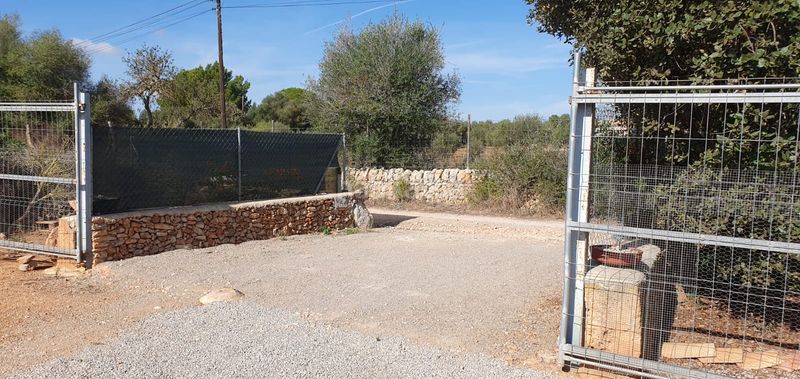 Foto 5a251d79-6467-41c4-a038-e4c2ee2a09c6. Finca rústica a es trenc 331 a Zona Rústica - Interior Campos