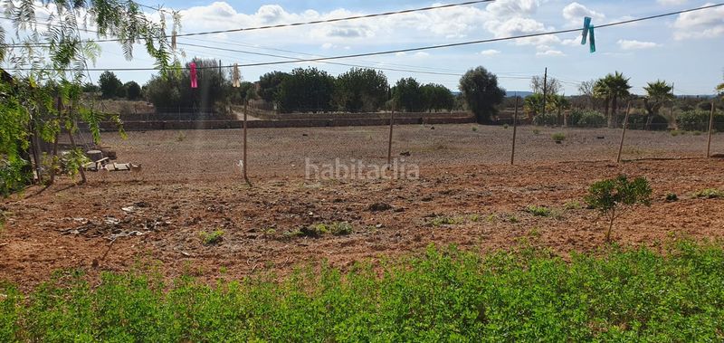 Foto 7ef7bbb6-ab8a-4df8-bf58-f3dbea4711c1. Finca rústica a es trenc 331 a Zona Rústica - Interior Campos