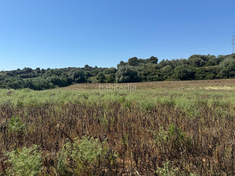 Foto b8a590d0-8aed-42e7-ac82-00680b00630e. Finca rústica a Manacor centre Manacor