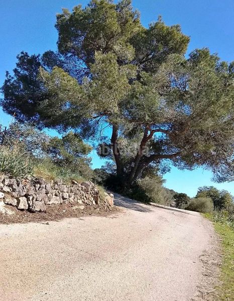 Foto 1bce678d-14f8-41b2-b51f-0491c119dc70. Finca rústica a ma-4030 11 a Sant Llorenç des Cardassar