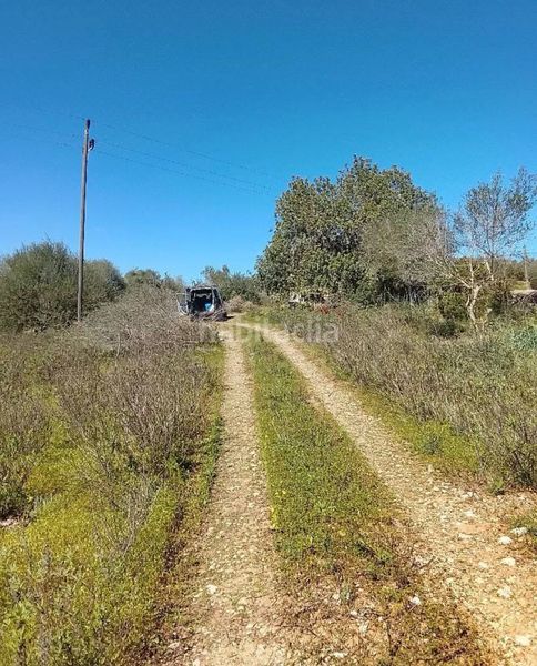 Foto 65ea2eb8-bca4-4ae1-9a7e-859568258edd. Finca rústica a ma-4030 11 a Sant Llorenç des Cardassar