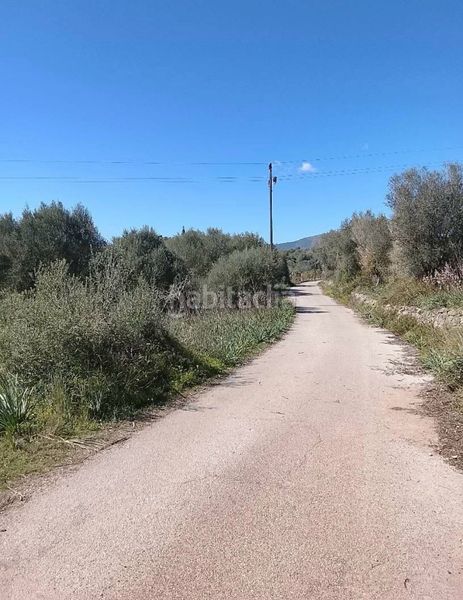 Foto c930310b-81fa-41a4-8b47-a477ae89f455. Finca rústica a ma-4030 11 a Sant Llorenç des Cardassar
