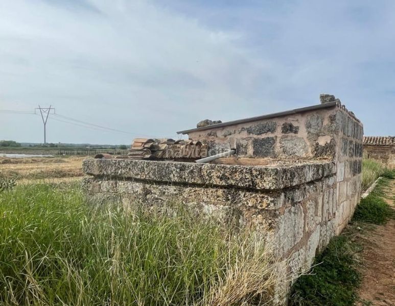 Foto f4db8f6a-acd9-4ca5-9789-30e975205174. Finca rústica a n/a a Muro