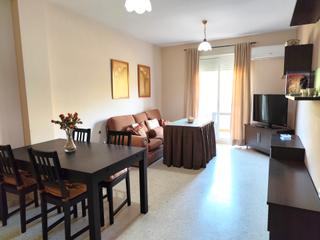 Flat in Avenida Quinto Centenario 2