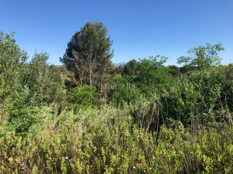 Foto 8ff3059c-4fa4-4b33-b039-0801215b5d80. Terreny residencial a Gelida