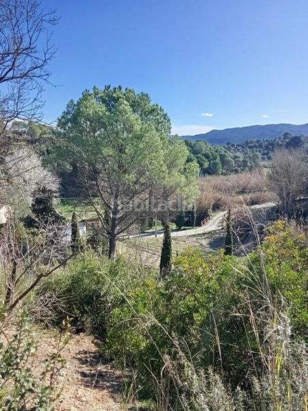 Foto 698423dc-e4b8-4e59-93f3-c4308f86e827. Xalet amb calefacció aparcament piscina a Sant Llorenç d´Hortons