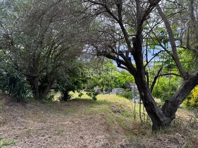 Foto 92fd3180-a2ff-44fe-8f9b-1f59d8430762. Masia a Castellbisbal