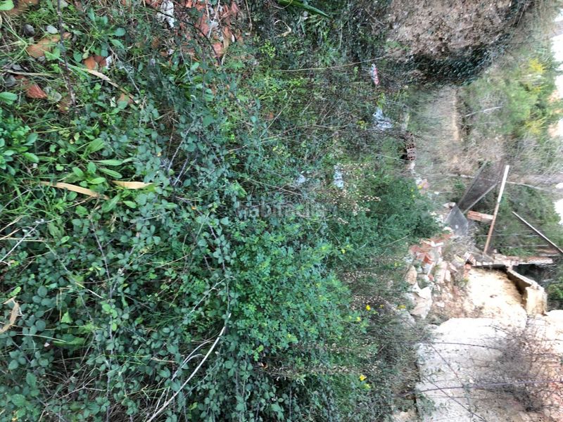 Foto 84c3e54d-2836-4b0d-8bd8-b2587387f371. Terreny residencial a Piera