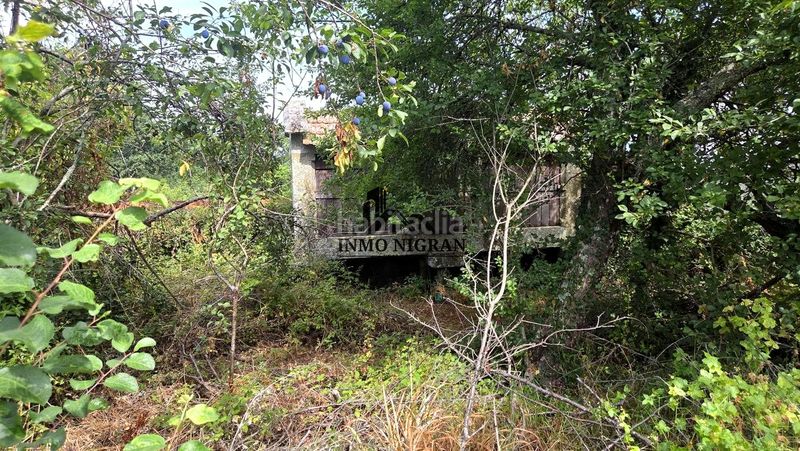 Foto 41393de8-d845-4753-b28a-04e68e3a135c. Terreny residencial a Priegue Nigrán