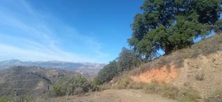 Terrain résidentiel à Colmenar. Fantástica parcela con rellano para contenedor o construcción li