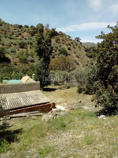 Foto 37521d9c-deda-4284-995f-a93962897483. Casale in Comares