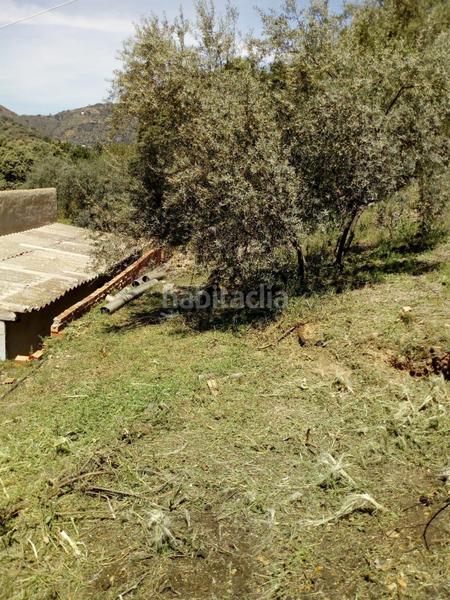 Foto 3c66243a-1319-4bba-951f-5885f818ed42. Casale in Comares