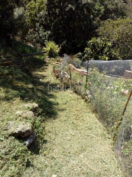 Foto 5c6adb13-c9ca-485a-98d5-4ecae50d4d15. Casale in Comares