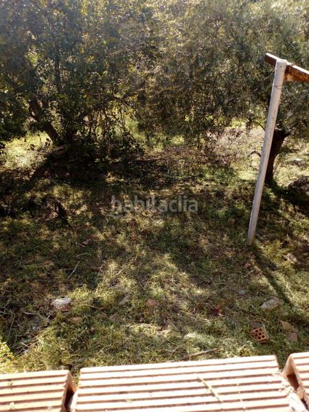 Foto 8946ac0a-a1d4-4c67-9a56-689feb0e2cfc. Casale in Comares