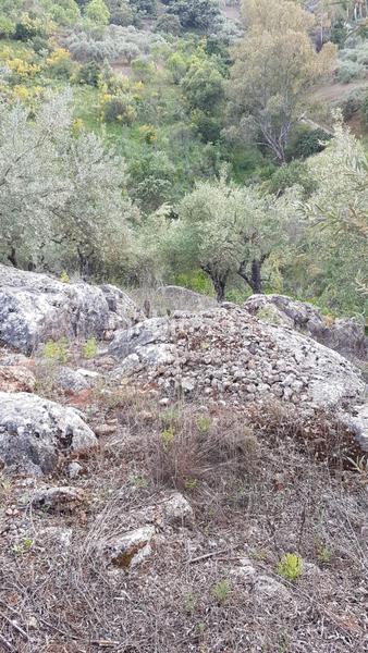 Foto a9cd4f18-91a8-4ad5-91b6-adb05cfc3df8. Casale in Comares