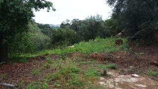 Masia a Comares. Finca rústica a la venta en comares