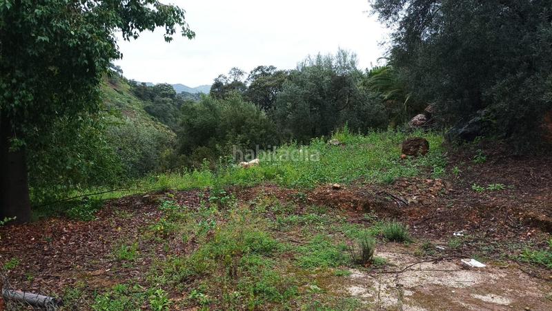 Foto a9fea23e-8eab-4f0f-8f7d-2bc378240f98. Casale in Comares