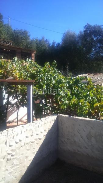 Foto d89ead27-7bad-4585-813d-b9252291d6d8. Casale in Comares