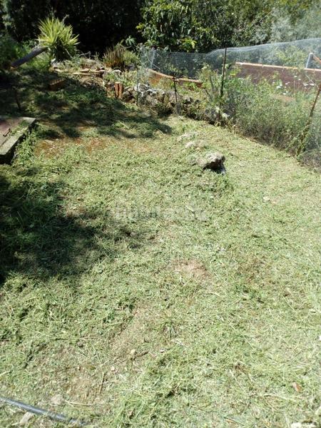 Foto f3c4222a-cfb6-4567-959e-bdab29c9655c. Casale in Comares