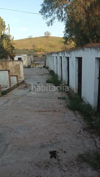 Foto b77affdf-d343-4438-a282-fd4ca2c1d034. Maison dans Limonar Málaga