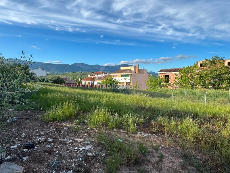 Foto c89d81c8-49b3-474e-8bcc-474f6d935066. Terreny residencial a Colmenar