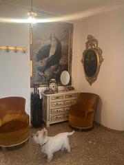 Etagenwohnung  Paseo reding