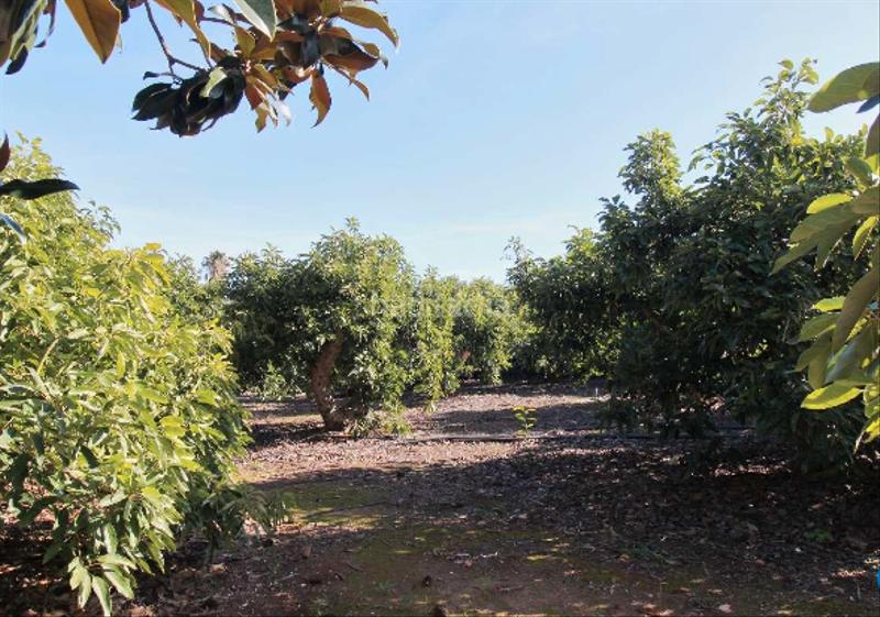 Foto 48d967f2-a230-41ef-94f3-b83093b2c980. Chalet avec piscine dans Centro Alhaurín de la Torre