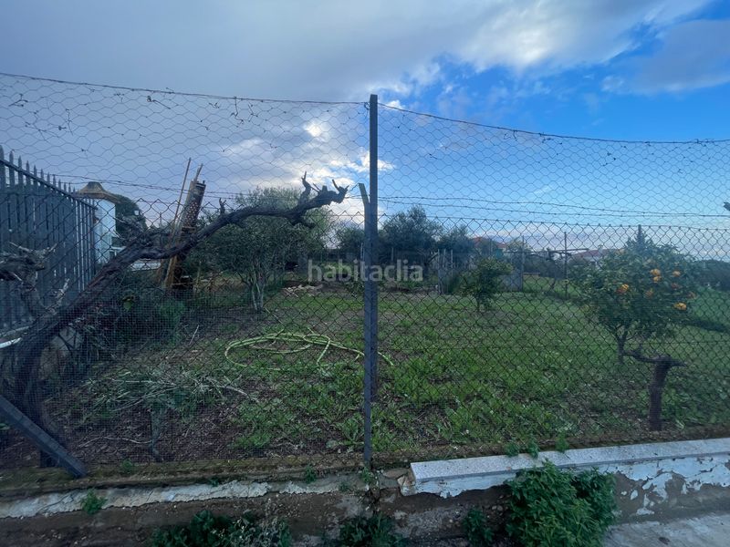 Foto b40f5230-0cbf-4acd-86ba-15e3f85dcb52. Fondo rustico in Almendralejo