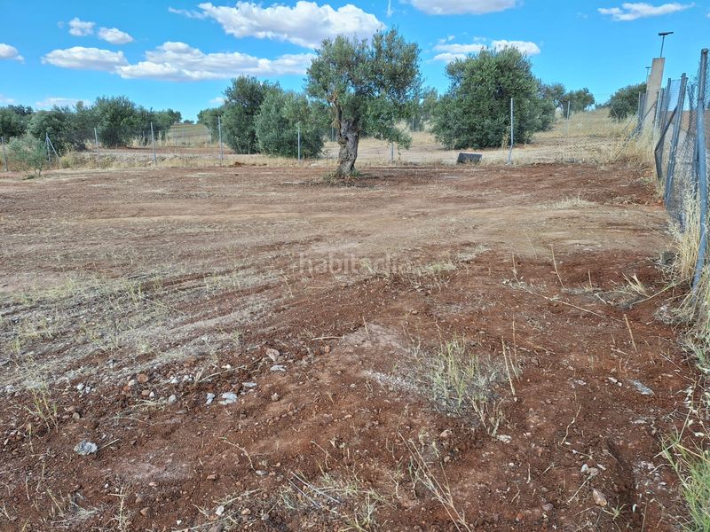 Foto 00eb0ae4-5d6e-4598-9337-93506cebe84f. Residential plot in Solana de los Barros
