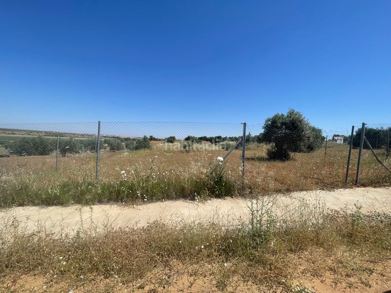 Foto 4babed81-8079-4e79-876f-8af878ef0fee. Residential plot in Solana de los Barros