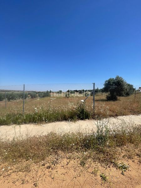 Foto fa00f31f-34c7-4ace-9137-b81c025087e7. Residential plot in Solana de los Barros