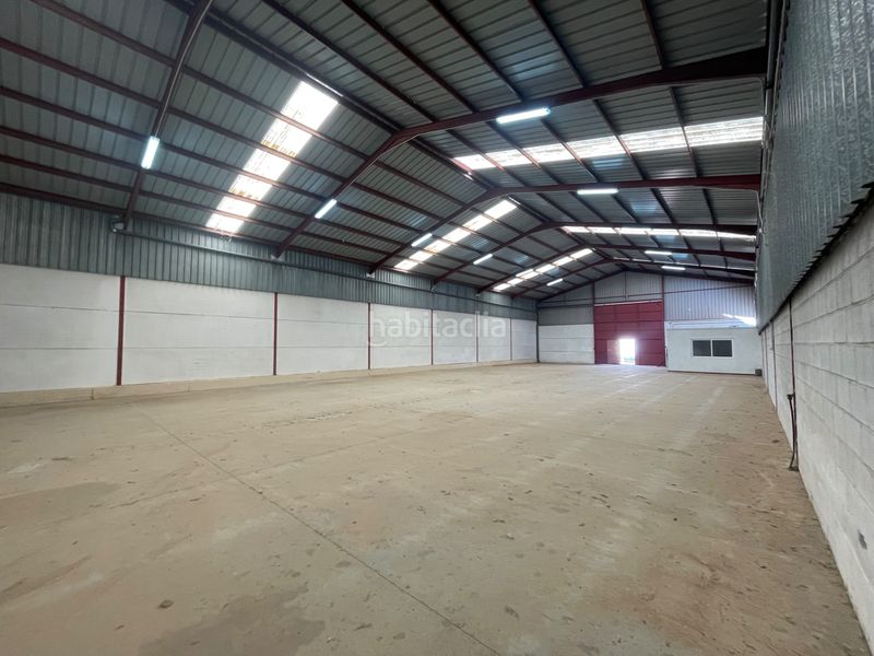 Foto d25e4bfb-b817-46af-825d-73324b11758a. Rent industrial building in Almendralejo