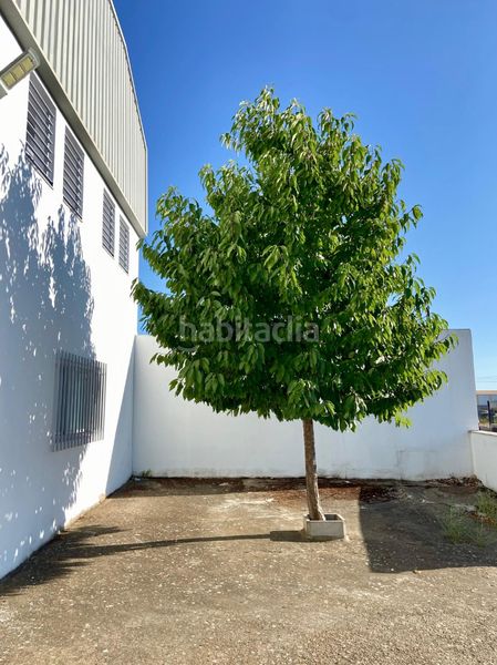 Foto 4c874b0f-b4ef-4d08-baea-8af9ee98a8eb. Nau industrial a Almendralejo