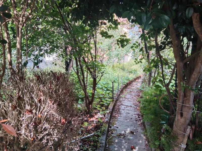 Foto 50eaa072-d636-4369-a605-adbdff8ee211. Maison dans Canido Ferrol