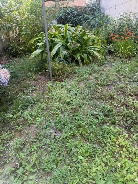 Foto 9437e8b8-a53e-450c-8a8e-611129507410. Casa a Fajardo Ferrol