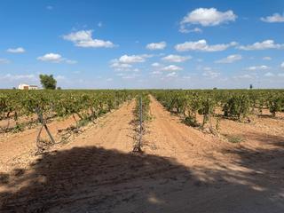 Fondo rustico in Calle pedro arias 101