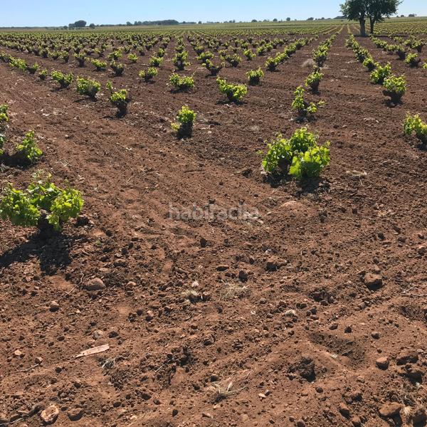 Foto 4a5edd00-1974-4161-a726-cdd0a7dacfa6. Rural plot in Mota del Cuervo