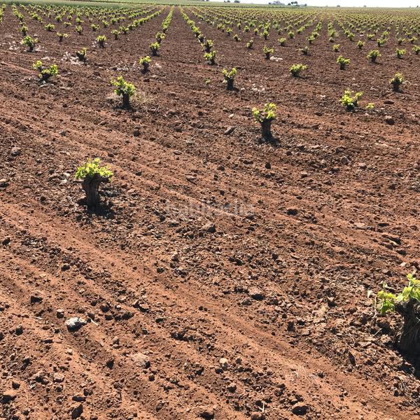 Foto ff085d1b-ed18-414e-8b19-76e9cacf4832. Rural plot in Mota del Cuervo