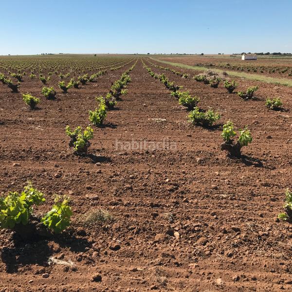 Foto 09815e2c-176b-4767-8e18-0512fbef5d13. Finca rústica en Mota del Cuervo