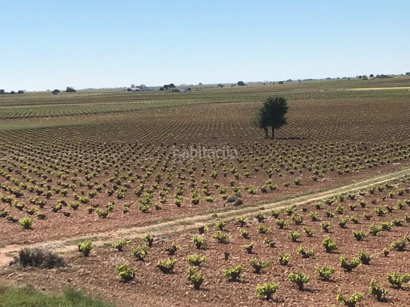 Foto 20921f5b-9884-43e3-a6f7-6b060e5192fa. Finca rústica en Mota del Cuervo