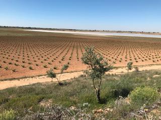 Propriété à Mota del Cuervo