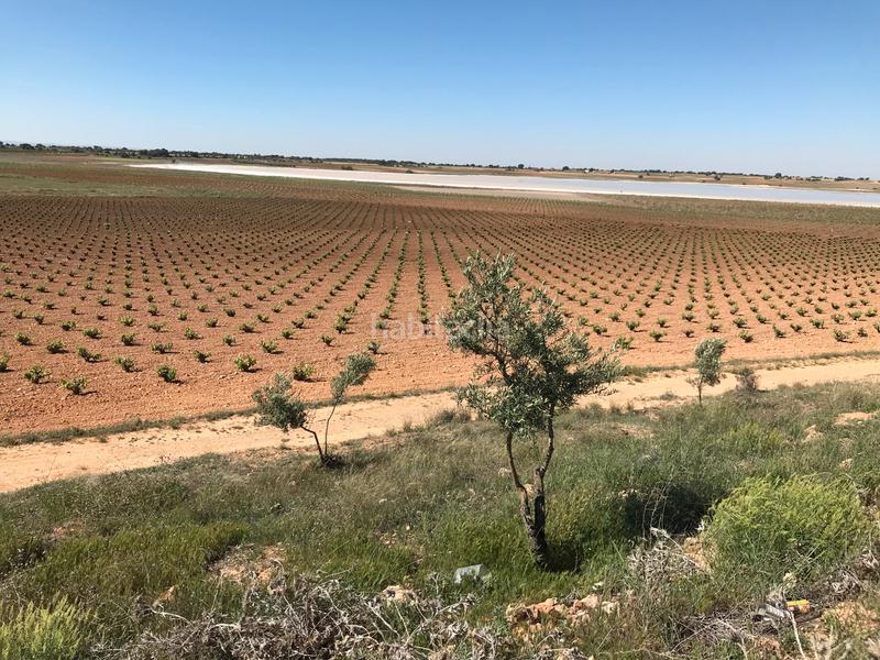 Foto 4b4d1383-72fd-4d4f-ba05-79b36e94e42b. Finca rústica en Mota del Cuervo