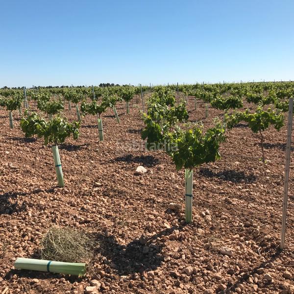 Foto bf26881b-6d2c-4bd6-95b2-e96b04415f20. Finca rústica en Mota del Cuervo